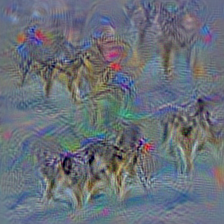n03218198 dogsled, dog sled, dog sleigh